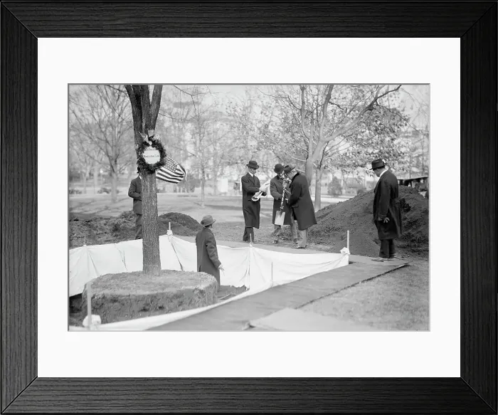 Framed Print : Owen, F.D. Public Buildings And Grounds Custodian of The Flags, Left, Planting Tree, Presid... 1913 Creator: Harris & Ewing. Owen, F.D. Public Buildings And Grounds Custodian of The Flags, Left, Planting Tree, Presid Framed Print : Owen, F.D. Public Buildings And Grounds Custodian of The Flags, Left, Planting Tree, Presid... 1913 Creator: Harris & Ewing. Owen, F.D. Public Buildings And Grounds Custodian of The Flags, Left, Planting Tree, Presid