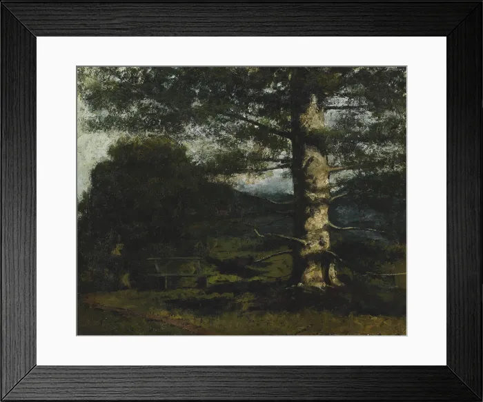 Framed Print : Cedar Tree at Hauteville, c. 1868. Creator: Courbet, Gustave (1819-1877) Framed Print : Cedar Tree at Hauteville, c. 1868. Creator: Courbet, Gustave (1819-1877)