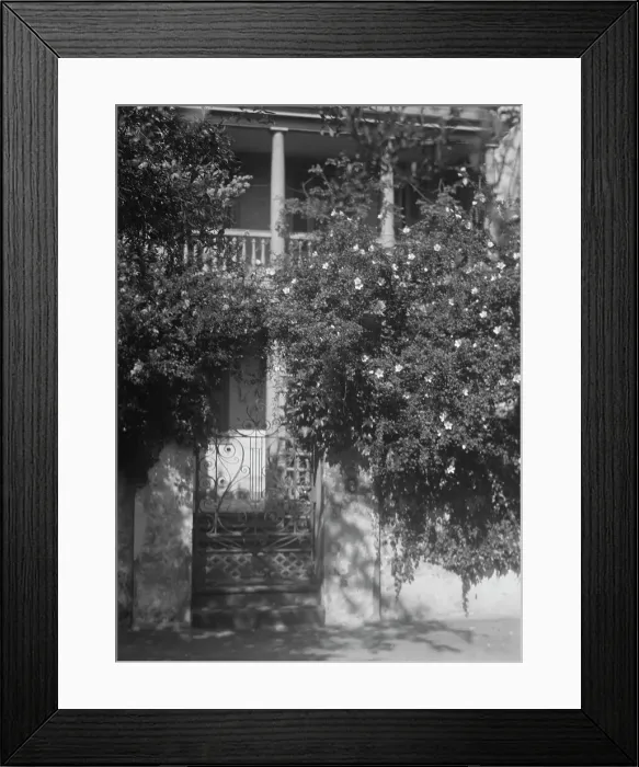 Framed Print : Gate to house garden, [George Eveleigh House, 39 Church Street], Charleston, South Ca... c1920-1926 Creator: Arnold Genthe