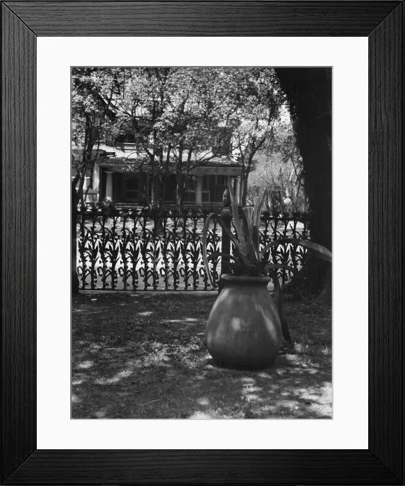 Framed Print : Cornstalk wrought iron fence, 1448 4th Street, New Orleans, between 1920 and 1926. Creator: Arnold Genthe Framed Print : Cornstalk wrought iron fence, 1448 4th Street, New Orleans, between 1920 and 1926. Creator: Arnold Genthe