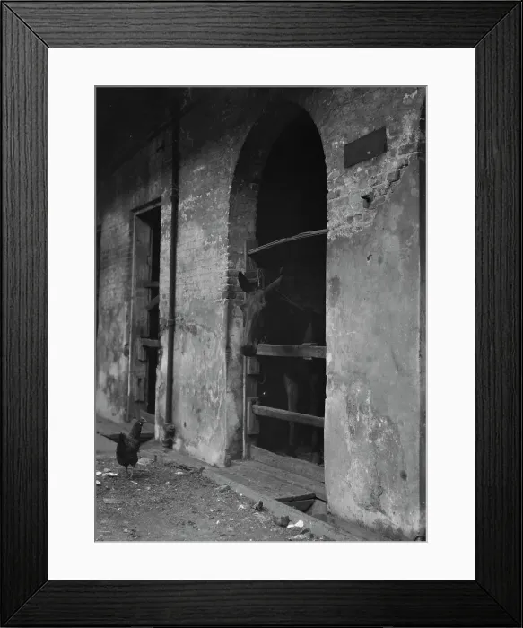 Framed Print : Spanish Stables, New Orleans, between 1920 and 1926. Creator: Arnold Genthe