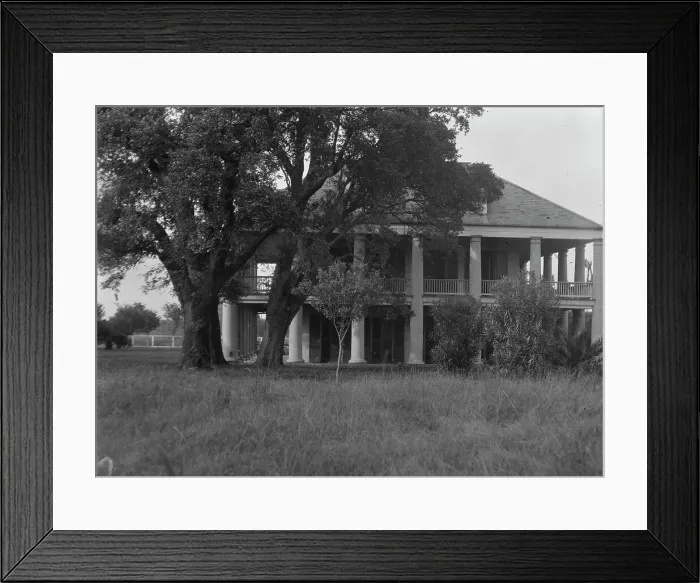 Framed Print : Three Oaks plantation, New Orleans, between 1920 and 1926. Creator: Arnold Genthe Framed Print : Three Oaks plantation, New Orleans, between 1920 and 1926. Creator: Arnold Genthe