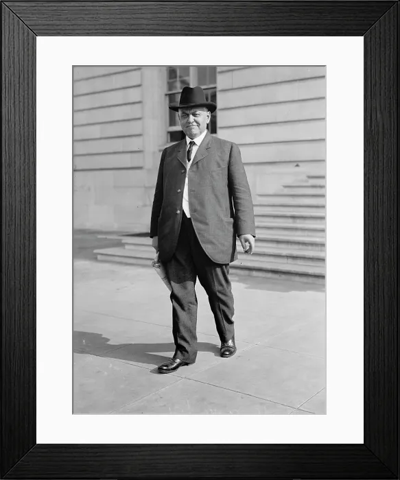 Framed Print : Martin David Foster, Representative from Illinois 1914. Creator: Harris & Ewing. Martin David Foster, Representative from Illinois 1914. Creator: Harris & Ewing Framed Print : Martin David Foster, Representative from Illinois 1914. Creator: Harris & Ewing. Martin David Foster, Representative from Illinois 1914. Creator: Harris & Ewing
