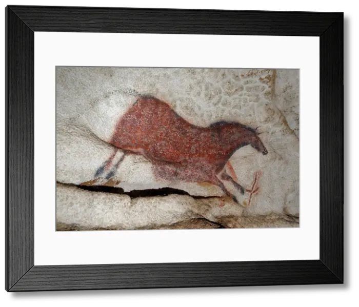 Framed Print : Galloping horse. Caves painting of Lascaux, ca 16.000-15.000 BC. Creator: Art of the Upper Paleolithic Framed Print : Galloping horse. Caves painting of Lascaux, ca 16.000-15.000 BC. Creator: Art of the Upper Paleolithic