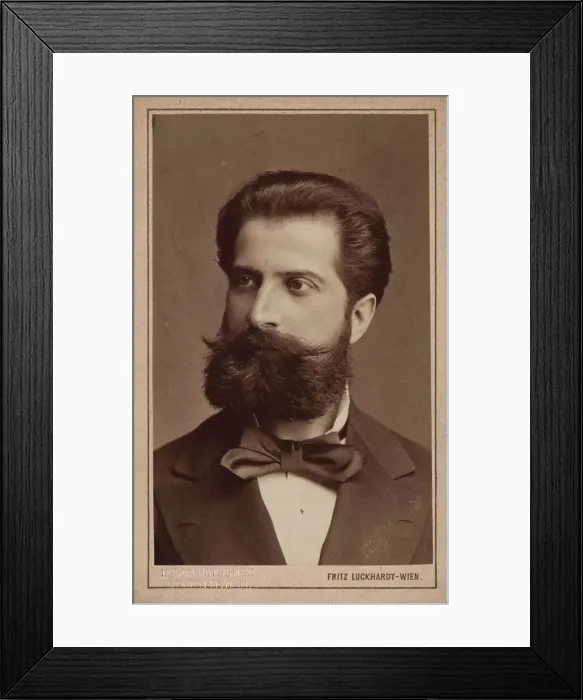Framed Print : Portrait of the conductor and composer Willhelm Gericke (1845-1925), c. 1870. Creator: Luckhardt, Fritz (1843-1894) Framed Print : Portrait of the conductor and composer Willhelm Gericke (1845-1925), c. 1870. Creator: Luckhardt, Fritz (1843-1894)