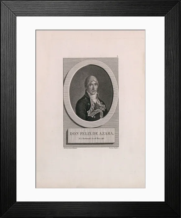 Framed Print : Portrait of Félix de Azara y Perera (1746-1821), 1806. Creator: Rodríguez Onofre, Antonio (1765-ca. 1825) Framed Print : Portrait of Félix de Azara y Perera (1746-1821), 1806. Creator: Rodríguez Onofre, Antonio (1765-ca. 1825)
