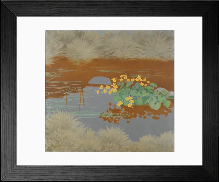 Framed Print : Marsh Marigolds. Creator: Lindh, Bror (1877-1941) Framed Print : Marsh Marigolds. Creator: Lindh, Bror (1877-1941)
