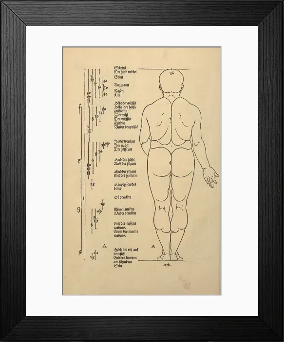 Framed Print : Illustration from the Four Books on Human Proportion, 1528. Creator: Dürer, Albrecht (1471-1528) Framed Print : Illustration from the Four Books on Human Proportion, 1528. Creator: Dürer, Albrecht (1471-1528)