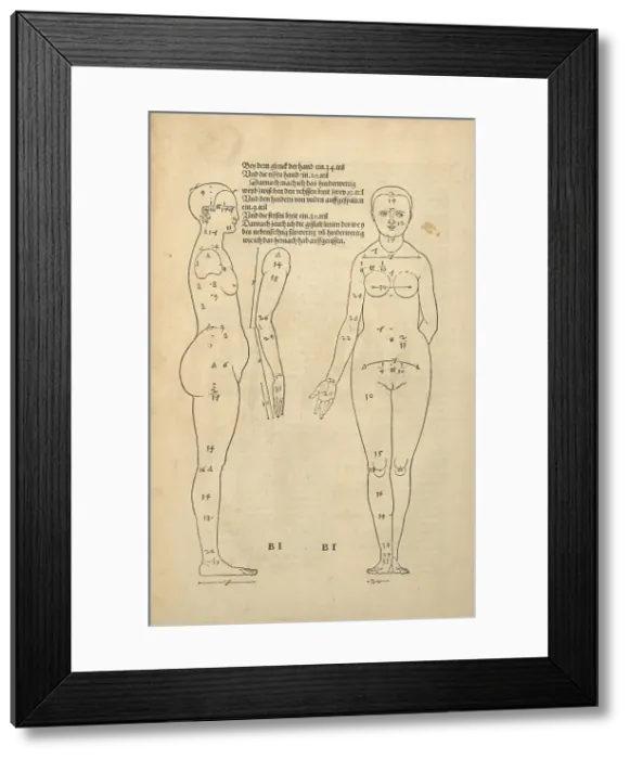 Framed Print : Illustration from the Four Books on Human Proportion, 1528. Creator: Dürer, Albrecht (1471-1528) Framed Print : Illustration from the Four Books on Human Proportion, 1528. Creator: Dürer, Albrecht (1471-1528)