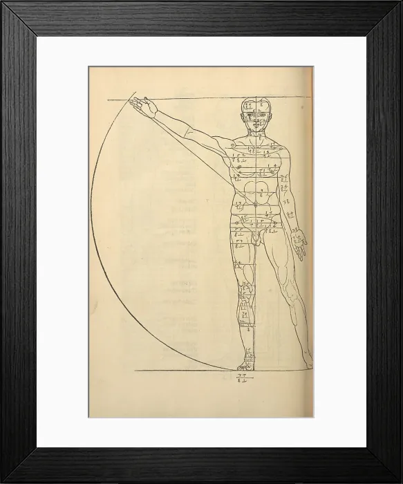 Framed Print : Illustration from the Four Books on Human Proportion, 1528. Creator: Dürer, Albrecht (1471-1528) Framed Print : Illustration from the Four Books on Human Proportion, 1528. Creator: Dürer, Albrecht (1471-1528)