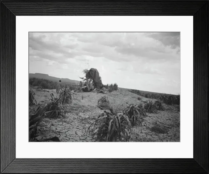 Framed Print : Possibly the southwest USA, between 1904 and 1938? Creator: Arnold Genthe Framed Print : Possibly the southwest USA, between 1904 and 1938? Creator: Arnold Genthe