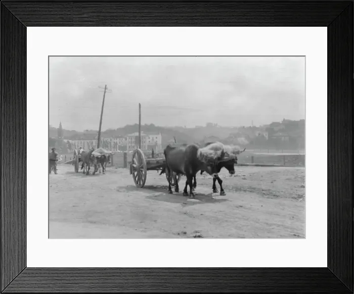 Framed Print : Travel views of Europe, between 1904 and 1938. Creator: Arnold Genthe Framed Print : Travel views of Europe, between 1904 and 1938. Creator: Arnold Genthe