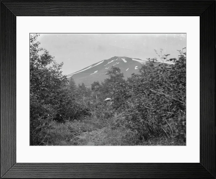 Framed Print : Travel views of Japan and Korea, 1908. Creator: Arnold Genthe Framed Print : Travel views of Japan and Korea, 1908. Creator: Arnold Genthe