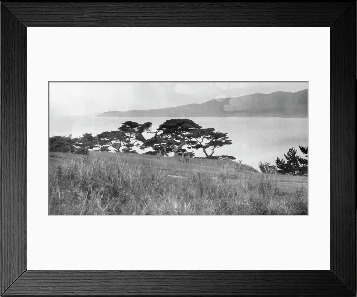 Framed Print : Travel views of Japan and Korea, 1908. Creator: Arnold Genthe Framed Print : Travel views of Japan and Korea, 1908. Creator: Arnold Genthe