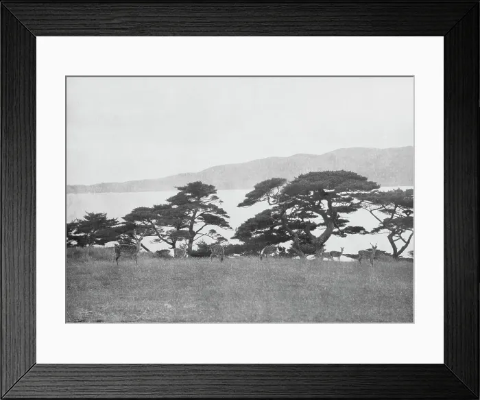 Framed Print : Travel views of Japan and Korea, 1908. Creator: Arnold Genthe Framed Print : Travel views of Japan and Korea, 1908. Creator: Arnold Genthe