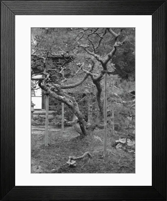 Framed Print : Travel views of Japan and Korea, 1908. Creator: Arnold Genthe Framed Print : Travel views of Japan and Korea, 1908. Creator: Arnold Genthe