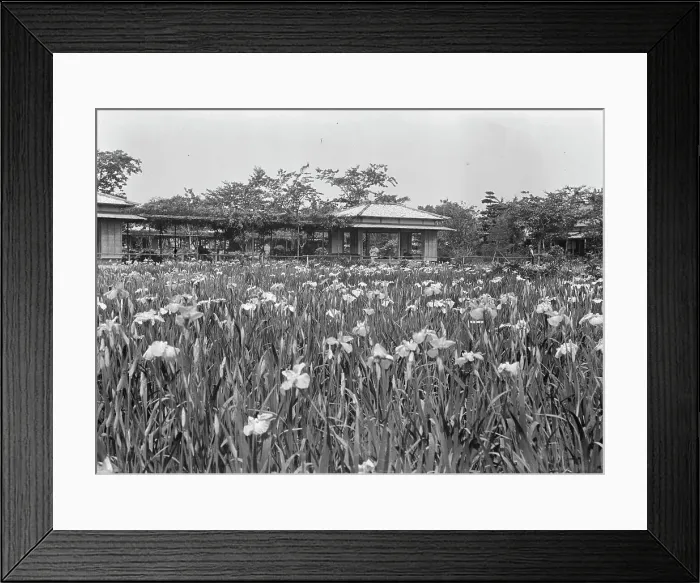 Framed Print : Travel views of Japan and Korea, 1908. Creator: Arnold Genthe Framed Print : Travel views of Japan and Korea, 1908. Creator: Arnold Genthe