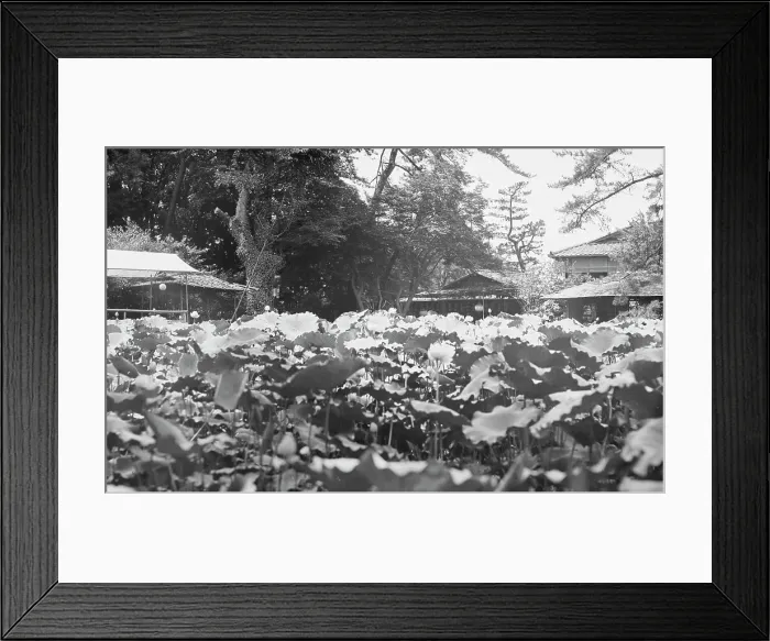 Framed Print : Travel views of Japan and Korea, 1908. Creator: Arnold Genthe