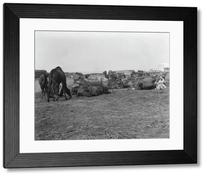 Framed Print : Travel views of Morocco, 1904. Creator: Arnold Genthe
