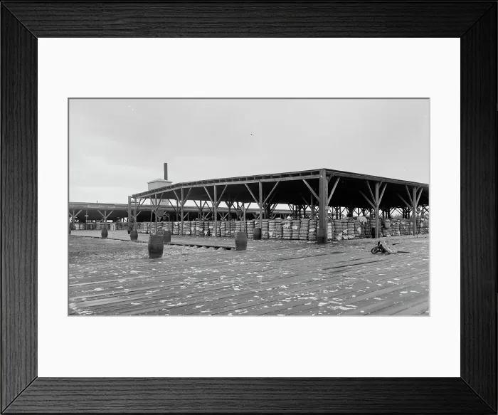 Framed Print : Atlantic Cotton Compress Company, Pensacola, Fla. between 1900 and 1906. Creator: Unknown Framed Print : Atlantic Cotton Compress Company, Pensacola, Fla. between 1900 and 1906. Creator: Unknown