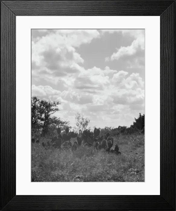 Framed Print : Travel views of the American Southwest, between 1899 and 1928. Creator: Arnold Genthe Framed Print : Travel views of the American Southwest, between 1899 and 1928. Creator: Arnold Genthe
