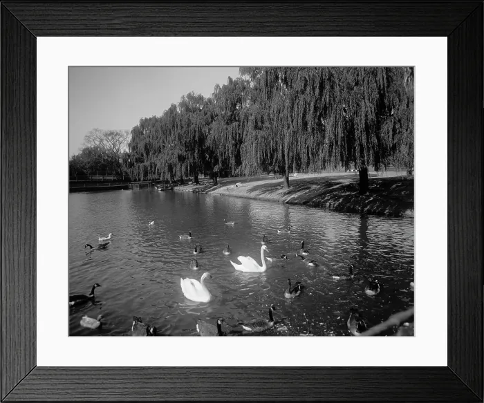 Framed Print : Lafayette Park, Norfolk, Va. between 1900 and 1920. Creator: Unknown Framed Print : Lafayette Park, Norfolk, Va. between 1900 and 1920. Creator: Unknown