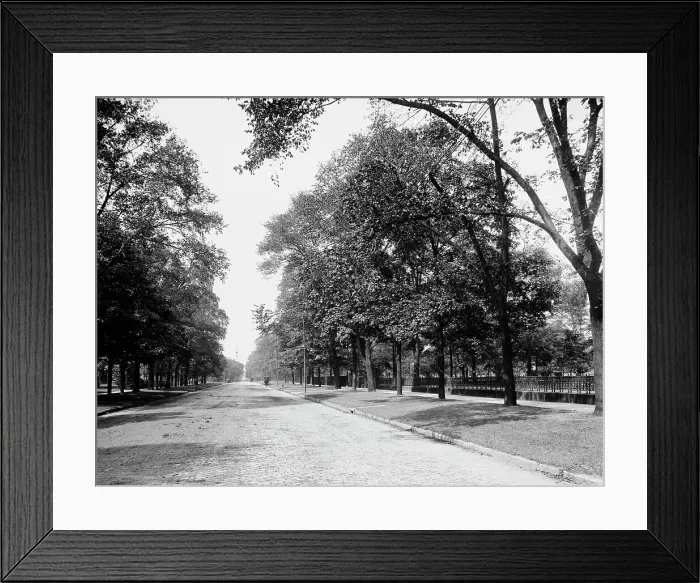 Framed Print : Euclid Avenue, Cleveland, Ohio, c1900. Creator: Unknown Framed Print : Euclid Avenue, Cleveland, Ohio, c1900. Creator: Unknown