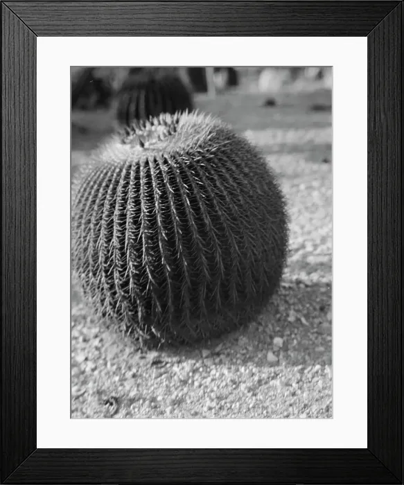 Framed Print : Travel views of the American Southwest, between 1899 and 1928. Creator: Arnold Genthe Framed Print : Travel views of the American Southwest, between 1899 and 1928. Creator: Arnold Genthe