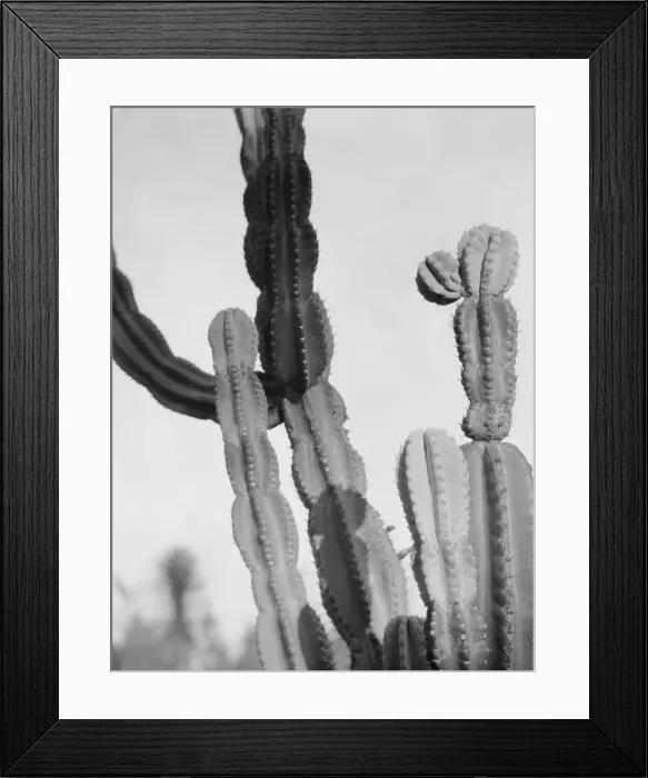 Framed Print : Travel views of the American Southwest, between 1899 and 1928. Creator: Arnold Genthe Framed Print : Travel views of the American Southwest, between 1899 and 1928. Creator: Arnold Genthe