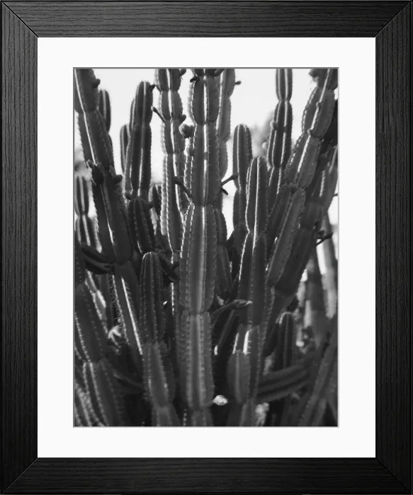 Framed Print : Travel views of the American Southwest, between 1899 and 1928. Creator: Arnold Genthe Framed Print : Travel views of the American Southwest, between 1899 and 1928. Creator: Arnold Genthe