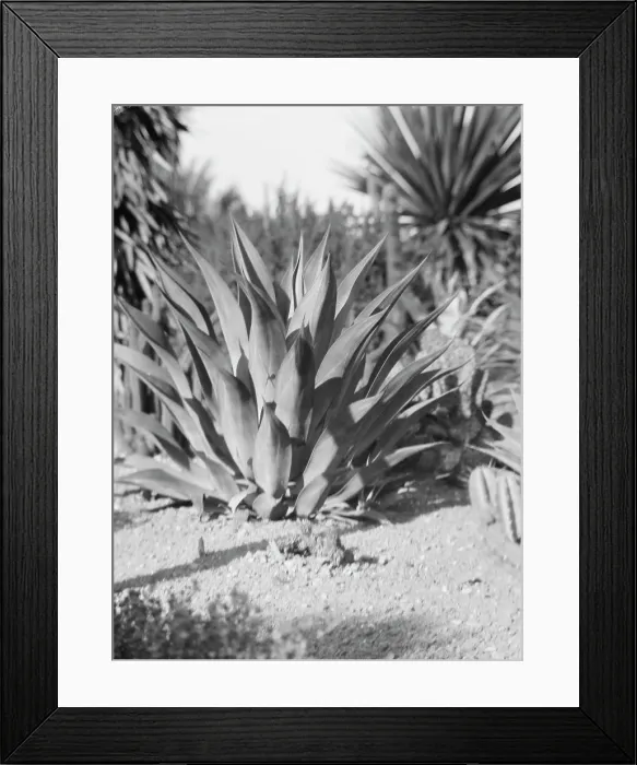 Framed Print : Travel views of the American Southwest, between 1899 and 1928. Creator: Arnold Genthe Framed Print : Travel views of the American Southwest, between 1899 and 1928. Creator: Arnold Genthe
