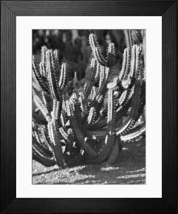 Framed Print : Travel views of the American Southwest, between 1899 and 1928. Creator: Arnold Genthe Framed Print : Travel views of the American Southwest, between 1899 and 1928. Creator: Arnold Genthe