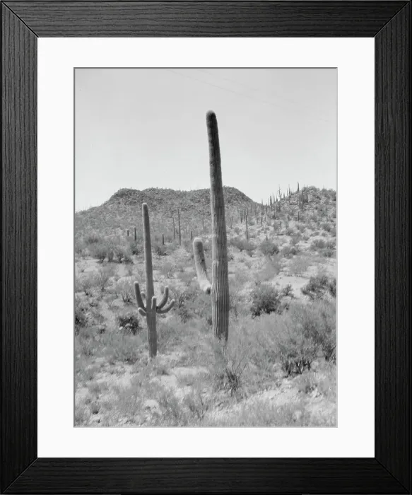 Framed Print : Travel views of the American Southwest, between 1899 and 1928. Creator: Arnold Genthe Framed Print : Travel views of the American Southwest, between 1899 and 1928. Creator: Arnold Genthe