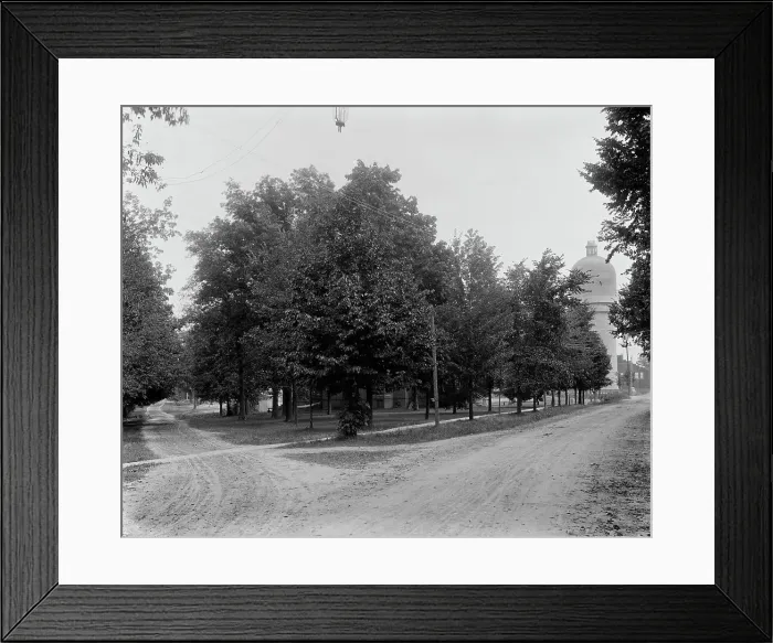 Framed Print : Campus and tower, Michigan State Normal College, Ypsilanti, Mich. between 1900 and 1910. Creator: Unknown