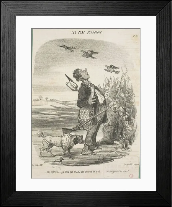 Framed Print : Ah!... Je crois que ce sont des oiseaux de proie... 19th century. Creator: Honore Daumier Framed Print : Ah!... Je crois que ce sont des oiseaux de proie... 19th century. Creator: Honore Daumier