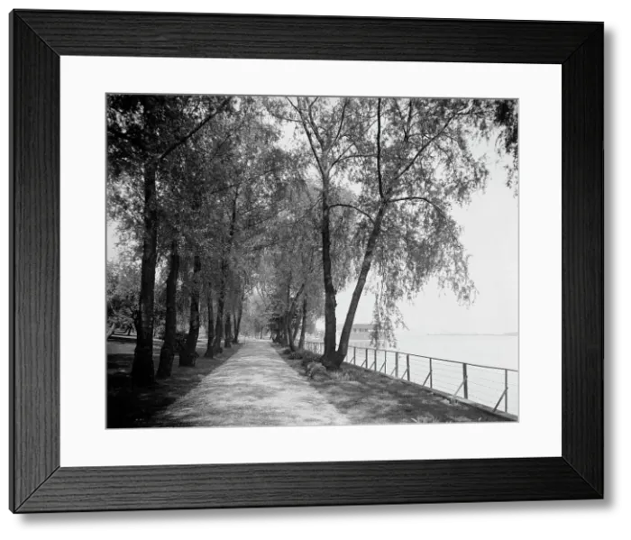 Framed Print : Wessonside Willow Road, Wesson estate, between 1900 and 1910. Creator: Unknown Framed Print : Wessonside Willow Road, Wesson estate, between 1900 and 1910. Creator: Unknown