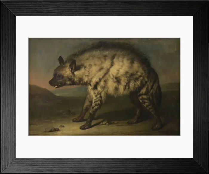 Framed Print : Hyena from the menagerie at Frederiksberg Castle, 1767. Creator: Jens Juel Framed Print : Hyena from the menagerie at Frederiksberg Castle, 1767. Creator: Jens Juel
