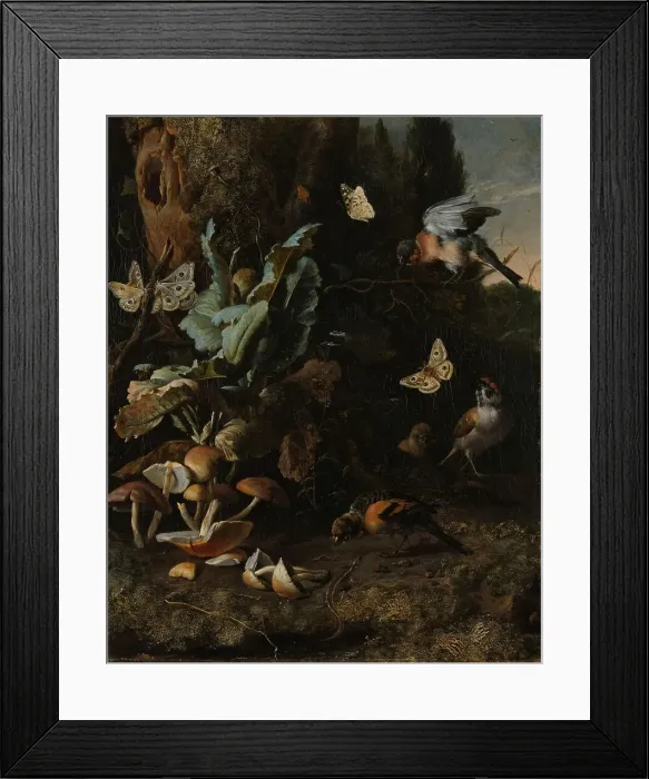 Framed Print : Animals and Plants, c.1668. Creator: Melchior d'Hondecoeter Framed Print : Animals and Plants, c.1668. Creator: Melchior d'Hondecoeter