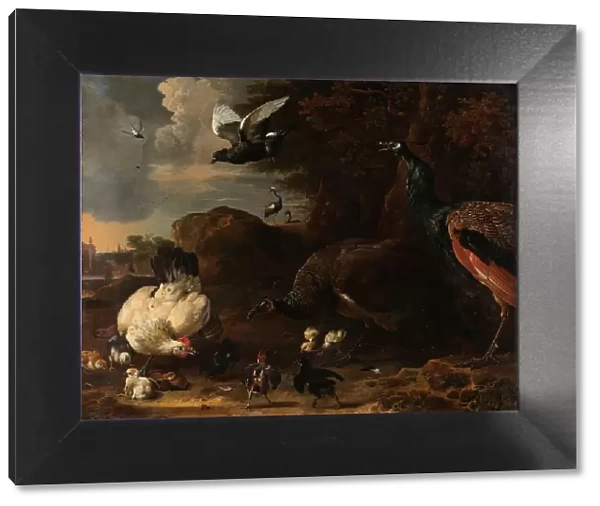 Two Peacocks Threatening a Hen with Chicks, Known as ‘The Threatened Hen, 1681. Creator: Melchior d'Hondecoeter