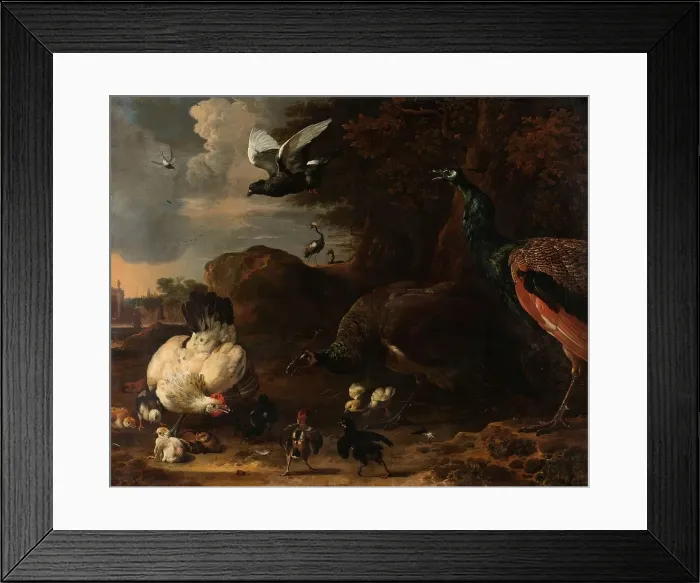 Framed Print : Two Peacocks Threatening a Hen with Chicks, Known as ‘The Threatened Hen, 1681. Creator: Melchior d'Hondecoeter Framed Print : Two Peacocks Threatening a Hen with Chicks, Known as ‘The Threatened Hen, 1681. Creator: Melchior d'Hondecoeter