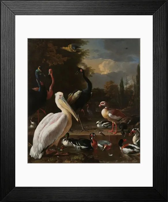 Framed Print : A Pelican and other Birds near a Pool, Known as ‘The Floating Feather, c.1680. Creator: Melchior d'Hondecoeter Framed Print : A Pelican and other Birds near a Pool, Known as ‘The Floating Feather, c.1680. Creator: Melchior d'Hondecoeter