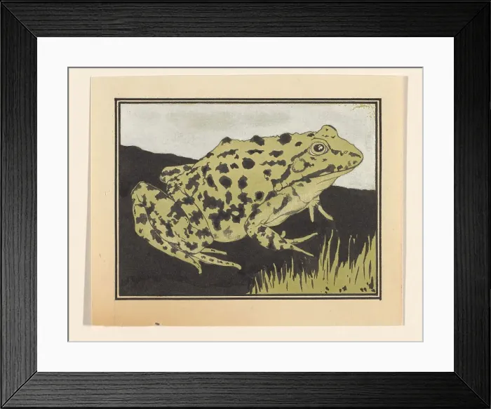 Framed Print : Frog, 1887-1924. Creator: Julie de Graag Framed Print : Frog, 1887-1924. Creator: Julie de Graag