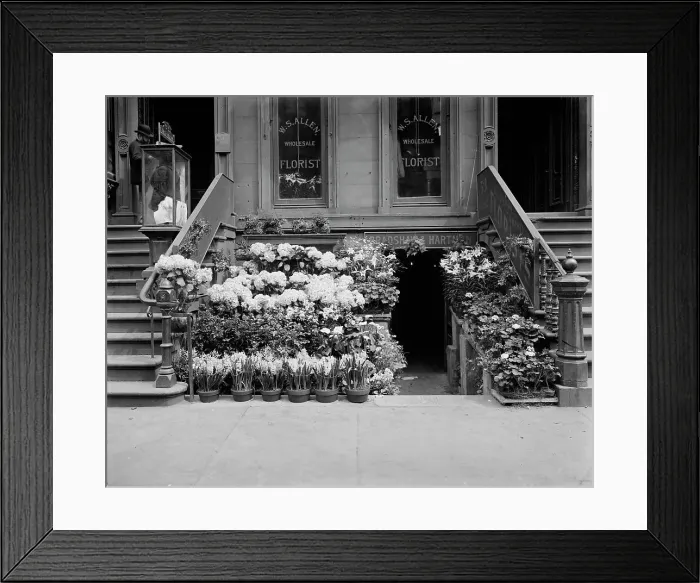 Framed Print : An Easter floral display, New York, between 1900 and 1910. Creator: Unknown Framed Print : An Easter floral display, New York, between 1900 and 1910. Creator: Unknown