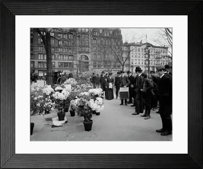 Framed Print : Flower vender's [sic] Easter display in Union Square Park, New York, between 1900 and 1910. Creator: Unknown