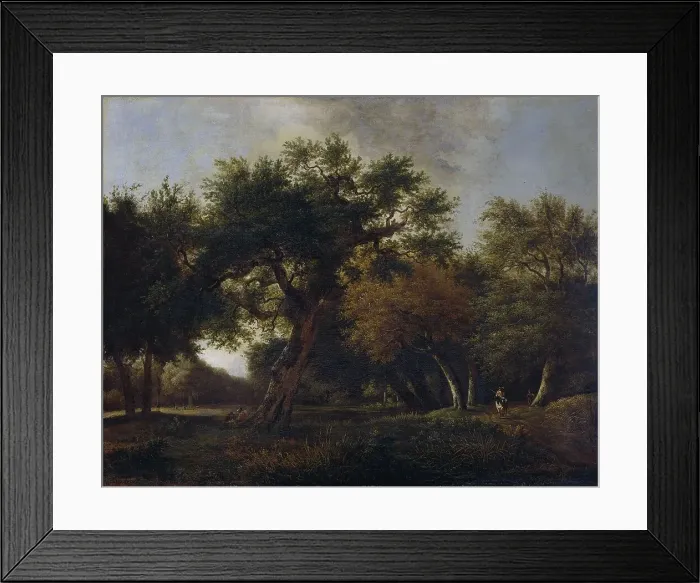 Framed Print : View in the Woods, 1660-1680. Creator: Jan van Kessel Framed Print : View in the Woods, 1660-1680. Creator: Jan van Kessel