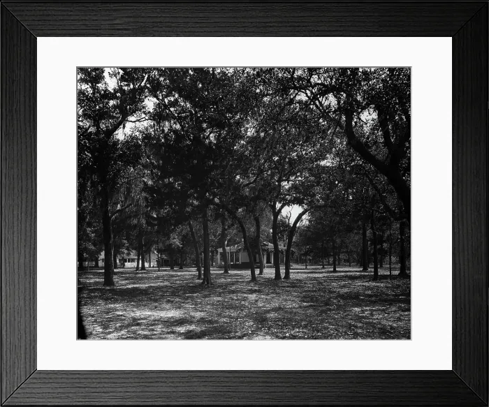 Framed Print : Pavilion behind trees, possibly Southern States, c1901. Creator: Unknown Framed Print : Pavilion behind trees, possibly Southern States, c1901. Creator: Unknown