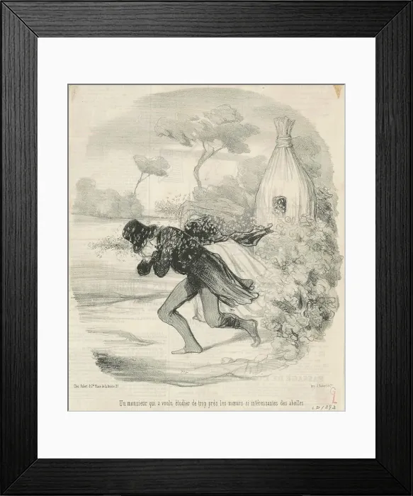 Framed Print : Un monsieur qui voulu étudier... les moeurs... des abeilles, 19th century. Creator: Honore Daumier Framed Print : Un monsieur qui voulu étudier... les moeurs... des abeilles, 19th century. Creator: Honore Daumier