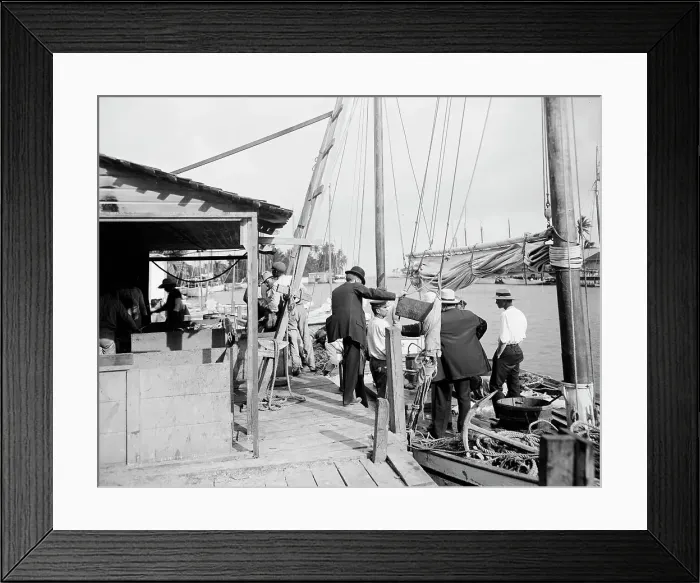 Framed Print : Miami, Fla. fish docks along the Miami, between 1900 and 1920. Creator: Unknown Framed Print : Miami, Fla. fish docks along the Miami, between 1900 and 1920. Creator: Unknown