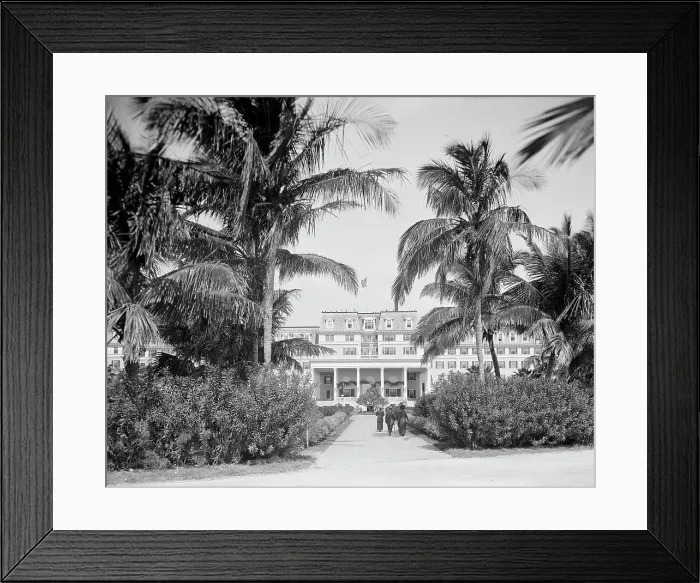 Framed Print : Miami, Fla. south entrance, Royal Palm Hotel, between 1900 and 1920. Creator: Unknown Framed Print : Miami, Fla. south entrance, Royal Palm Hotel, between 1900 and 1920. Creator: Unknown