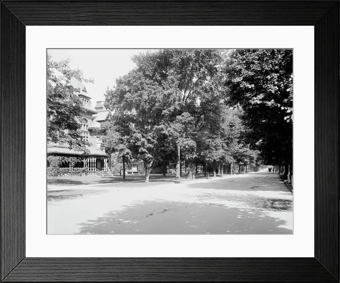 Framed Print : Delaware Ave. Buffalo, N.Y. c1900. Creator: Unknown Framed Print : Delaware Ave. Buffalo, N.Y. c1900. Creator: Unknown